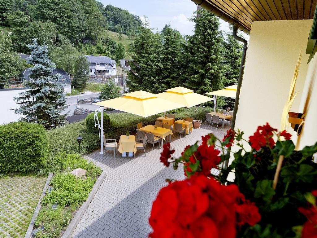 Hotel Sonne Seiffen Εξωτερικό φωτογραφία