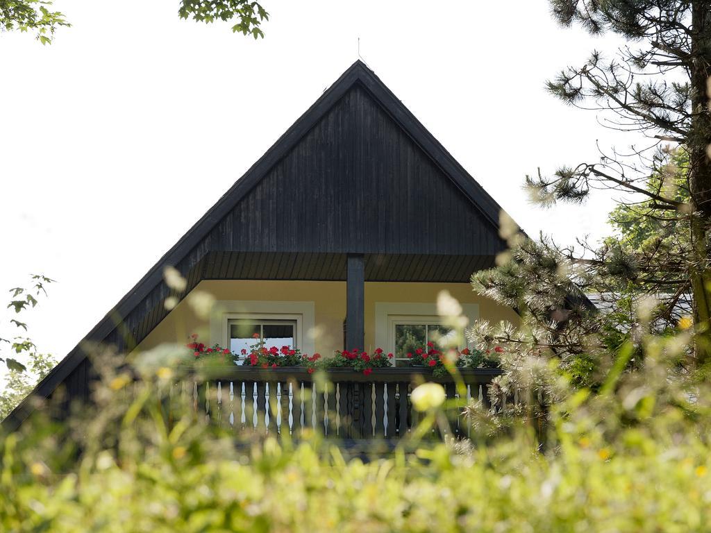 Hotel Sonne Seiffen Εξωτερικό φωτογραφία