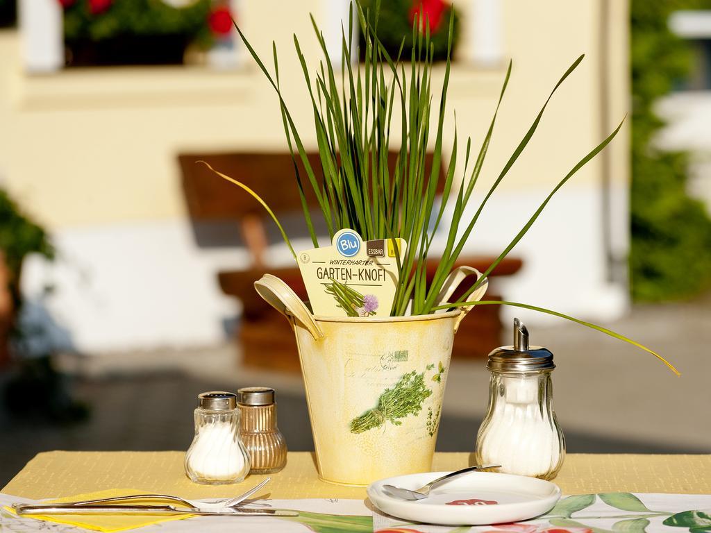 Hotel Sonne Seiffen Εξωτερικό φωτογραφία