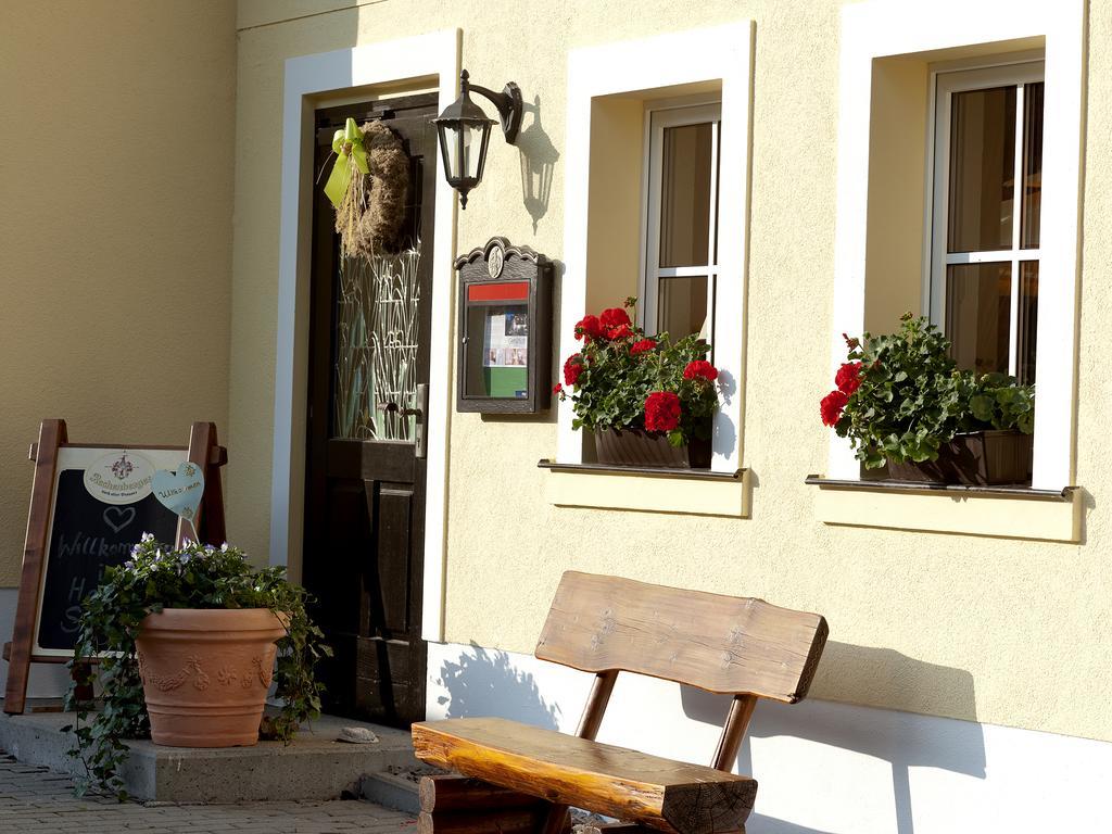 Hotel Sonne Seiffen Εξωτερικό φωτογραφία