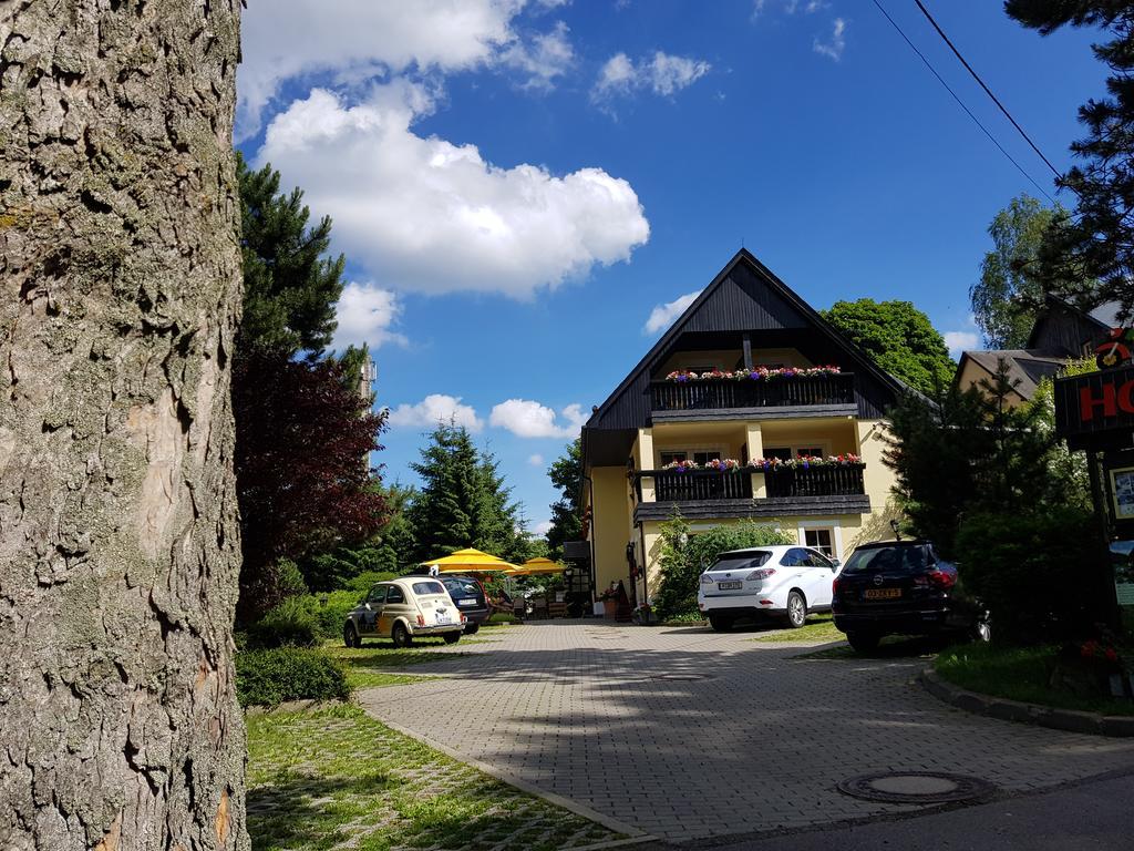 Hotel Sonne Seiffen Εξωτερικό φωτογραφία